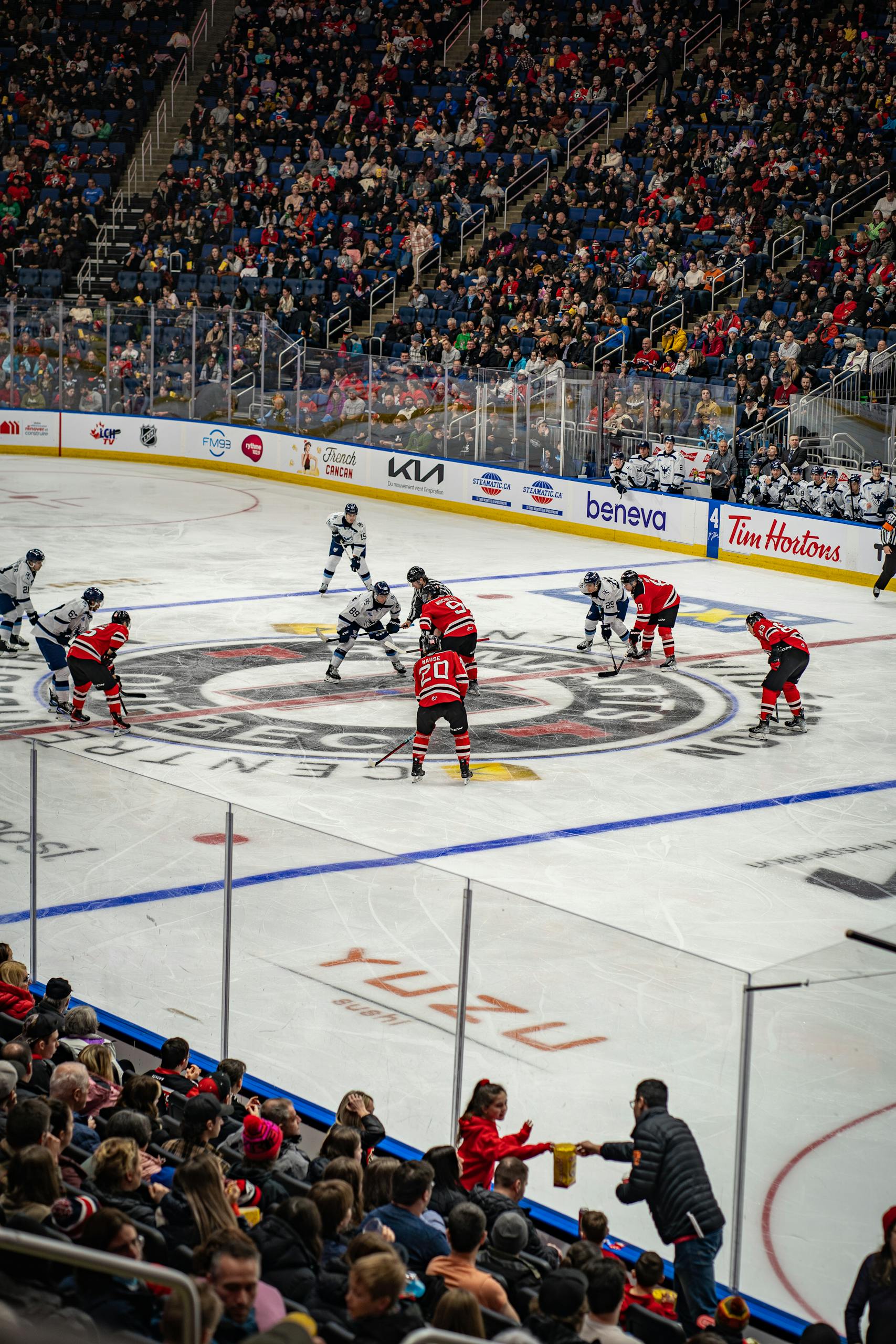 Intense hockey face-off amidst cheering crowd in Québec's vibrant stadium, showcasing sports energy.