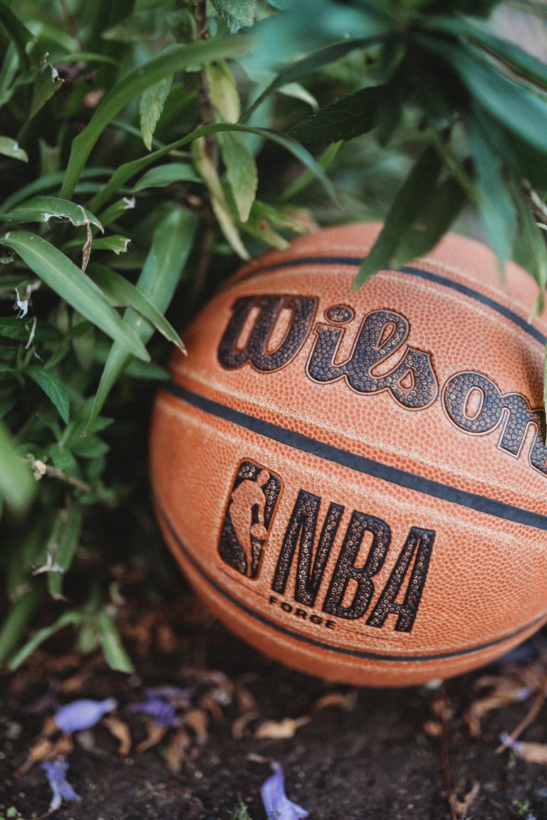 Close-up of an NBA basketball nestled in greenery, showcasing texture and detail.