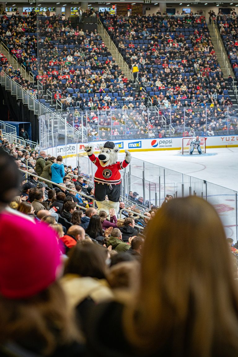 Crowds cheer at a hockey game in Québec's indoor arena, featuring a lively mascot.