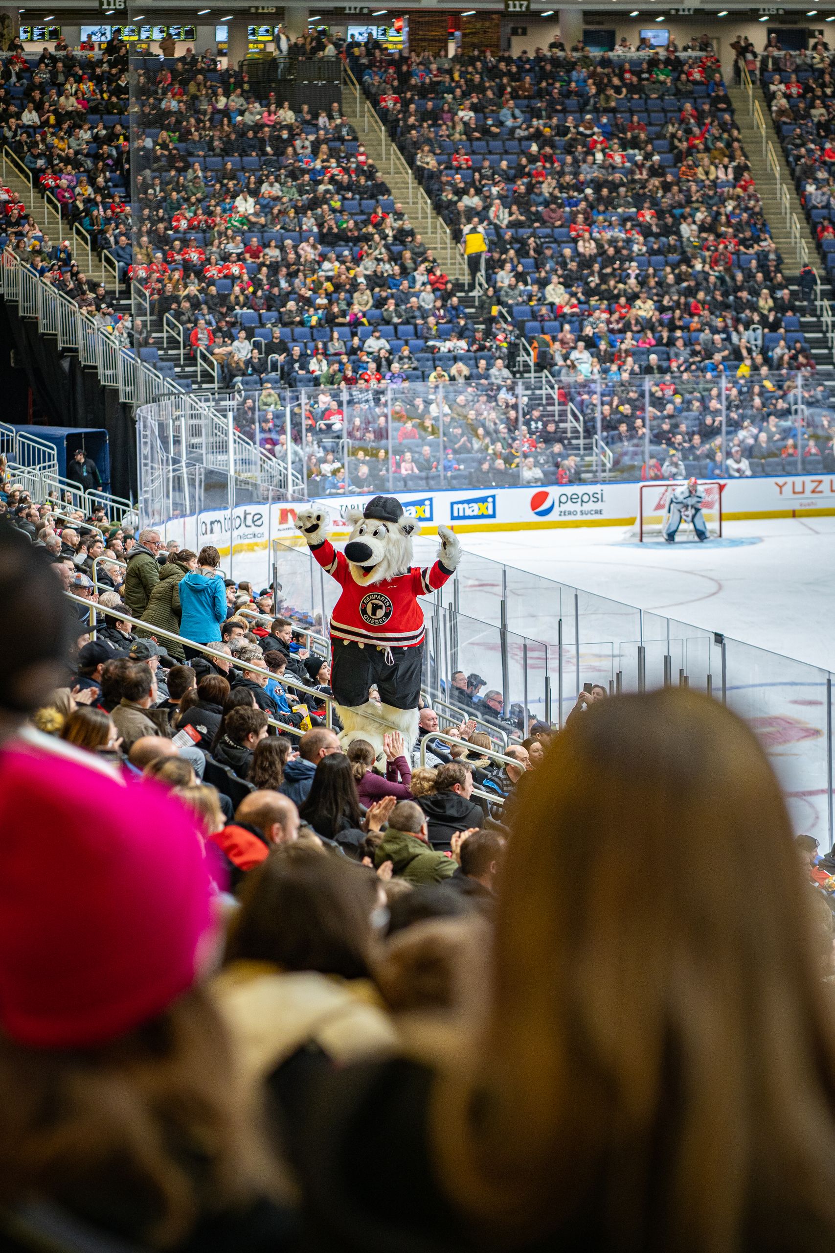Crowds cheer at a hockey game in Québec's indoor arena, featuring a lively mascot.